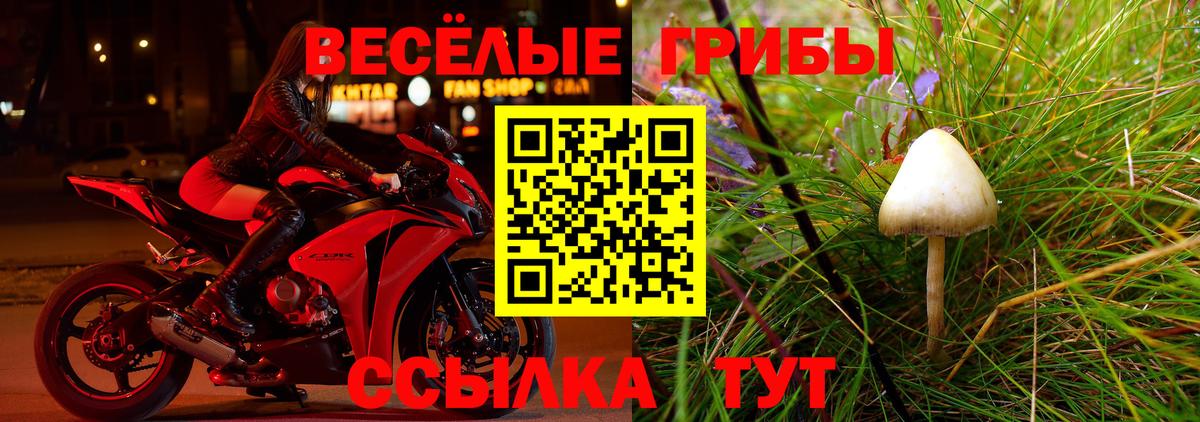Псилоцибиновые грибы ЛСД  Псилоцибиновые грибы ЛСД  Вход с VPN  Донецк 
